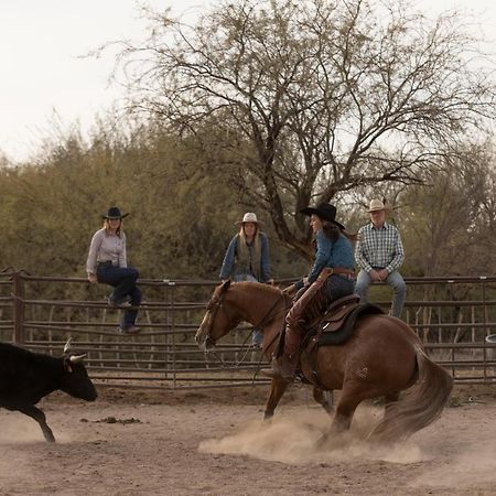 Отель Kay El Bar Guest Ranch Уикенберг Экстерьер фото