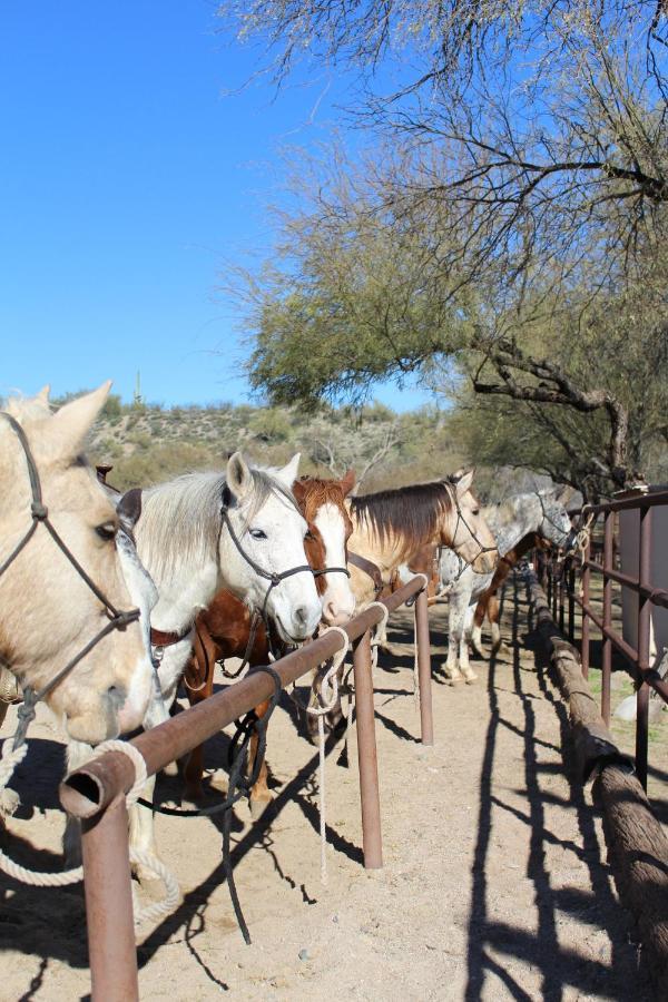 Отель Kay El Bar Guest Ranch Уикенберг Экстерьер фото