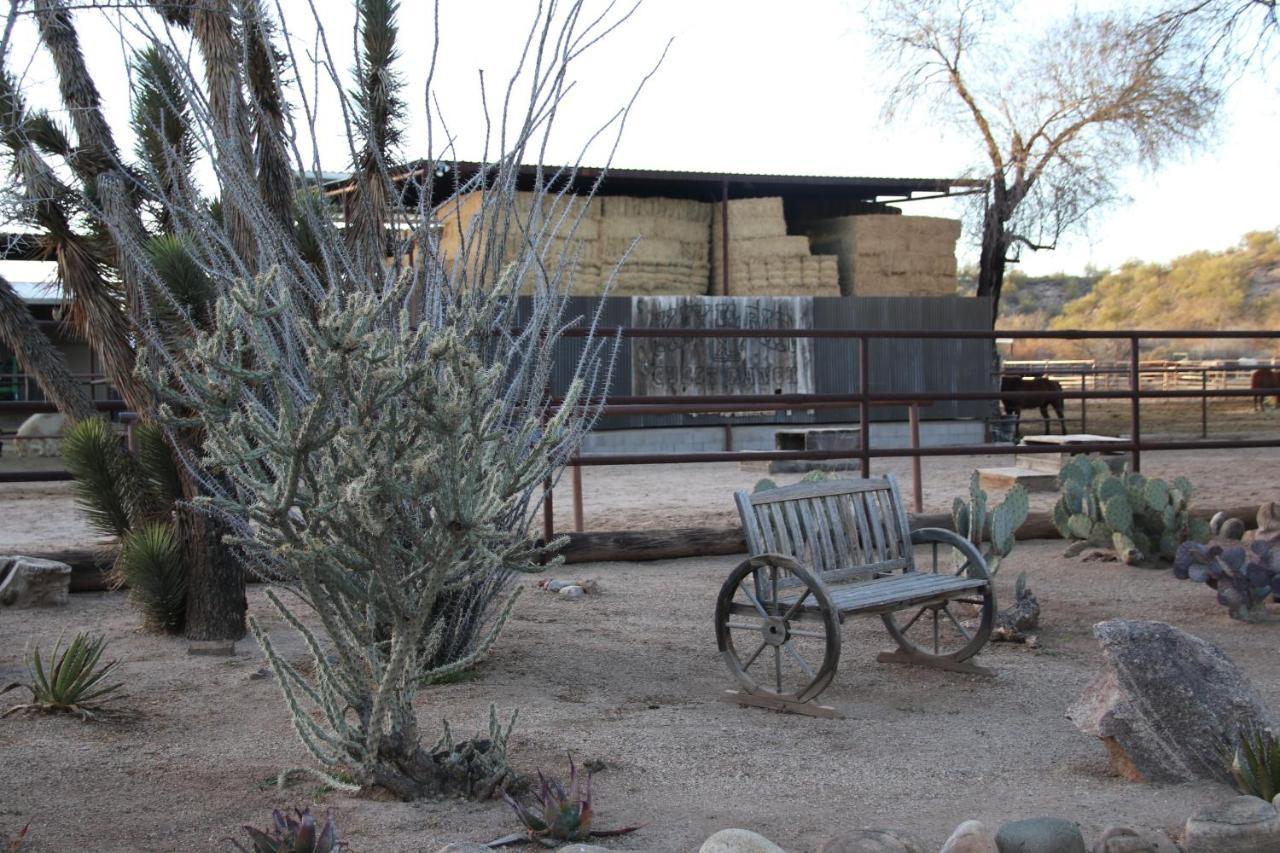 Отель Kay El Bar Guest Ranch Уикенберг Экстерьер фото