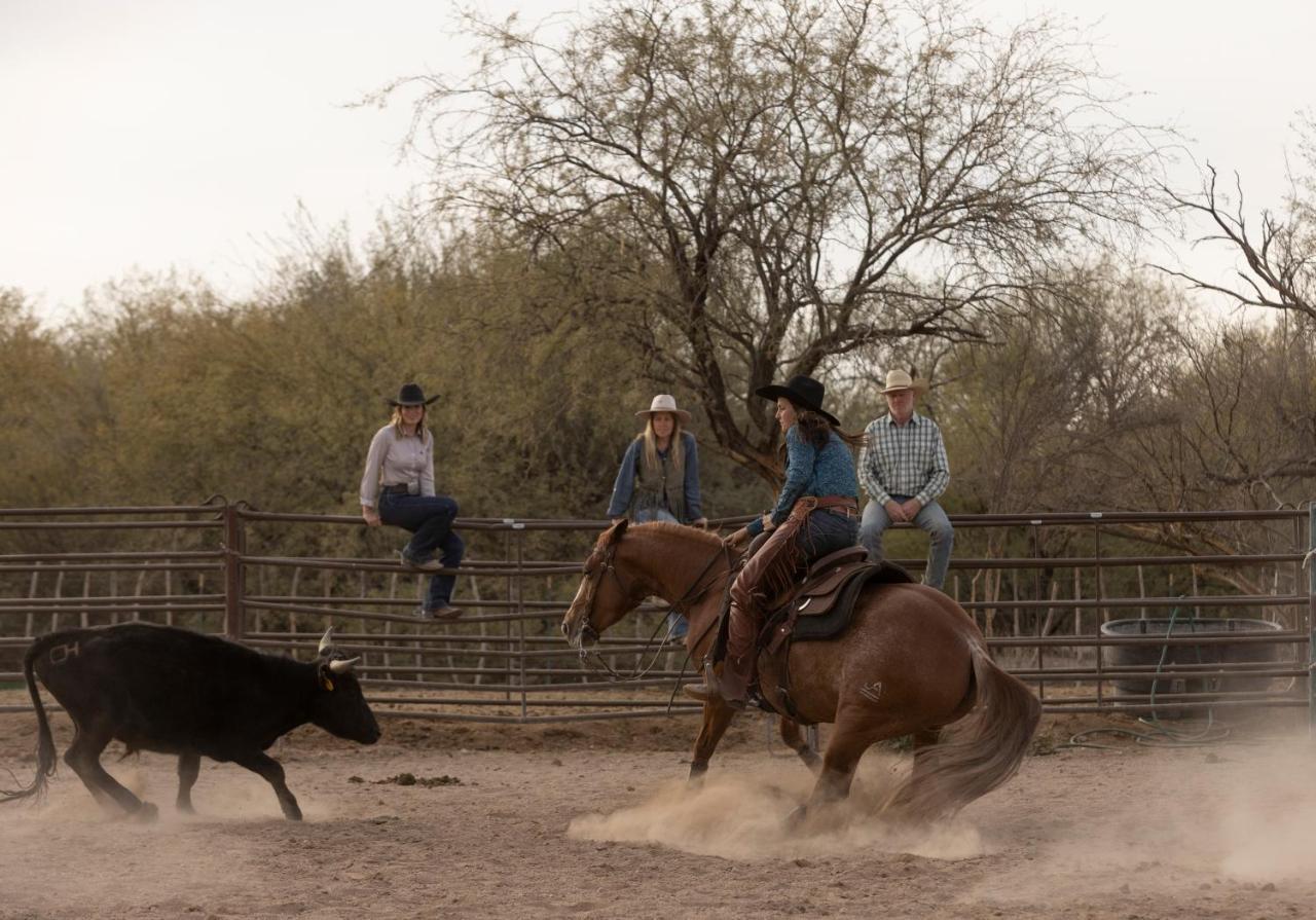 Отель Kay El Bar Guest Ranch Уикенберг Экстерьер фото