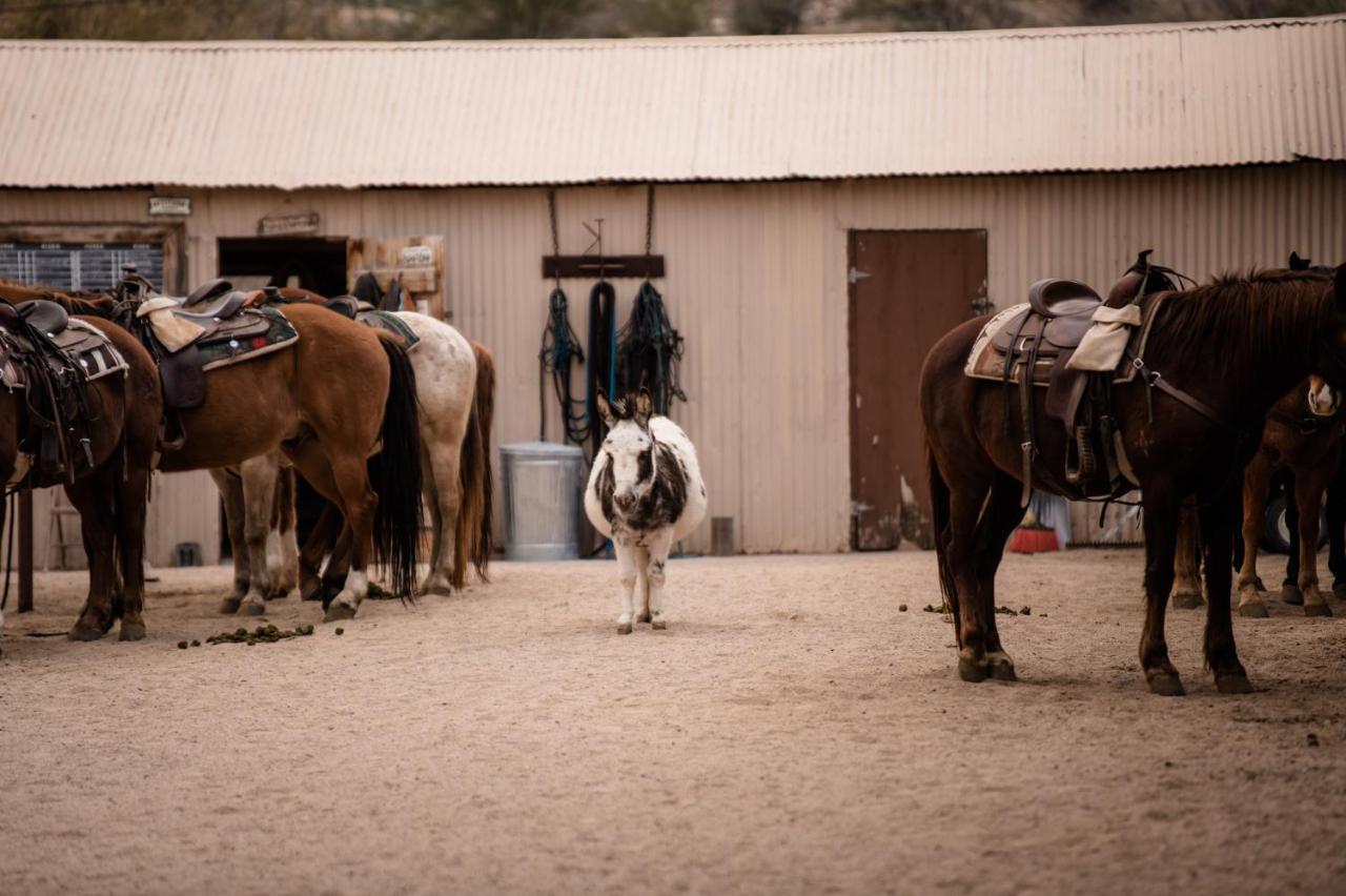 Отель Kay El Bar Guest Ranch Уикенберг Экстерьер фото